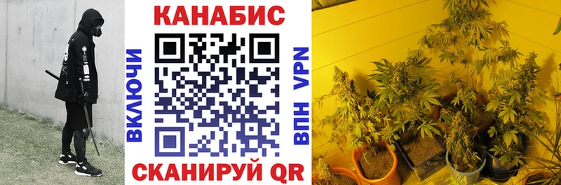 Купить наркотики сайты Сорочинск Cocaine  Метадон  А ПВП  АМФЕТАМИН  LSD-25  Каннабис  МЕФ  Гашиш 