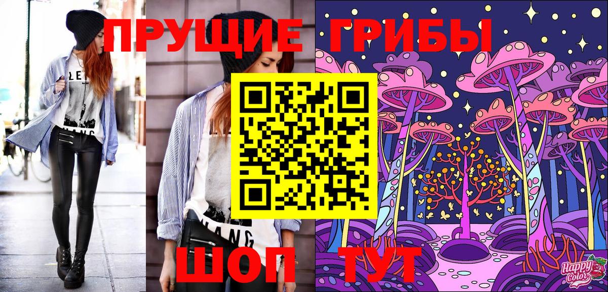 магазин продажи наркотиков  Галлюциногенные грибы Magic Shrooms  Вход с VPN  Сорочинск  Псилоцибиновые грибы мицелий 