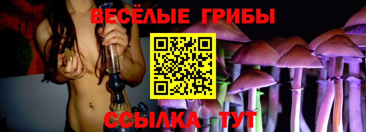 Галлюциногенные грибы мухоморы Сорочинск
